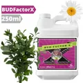Produktbild: Advanced Nutrients Bud Factor X 250ml | Knospenpotenz Stängelstärker für Growbox