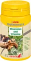 Produktbild: Sera reptil Reptimineral H 100ml Mineralien & Vitamine Herbivor Ergänzungsfutter