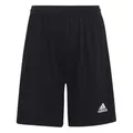 Produktbild: adidas Unisex Kinder Entrada 22 Shorts, Black, 13-14 Years