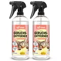 Produktbild: bio-chem Katzen Geruchsentferner Spray 2x 750 ml | Enzymreiniger mit Mikroorganismen | Gegen Katzenurin auf Sofa, Teppich & Polster | Probiotisch | Made in Germany