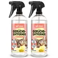 Produktbild: bio-chem Geruchsentferner Katzenurin Spray 2X 750 ml Enzymreiniger