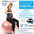 Produktbild: VITALWORXX Gymnastikball für Schwangere Pezziball Yogaball Sitzball 75 cm