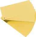 Produktbild: herlitz Trennstreifen, für DIN A4, Manila-Karton, gelb gelocht, 105 x 240 mm, 190 g-qm, blauer Engel (10843613)