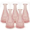 Produktbild: Blümelhuber 5X Kleine Vase Glas Deko Hochzeit - Glasvase Klein - Vase Modern - Boho Hochzeit - Pflanzen Deko Trockenblumen Set (Rosa)