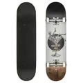 Produktbild: Globe G1 Excess Skateboard  8'' park street rollbrett Sklett  weiß braun