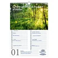 Produktbild: Geburtstagsplaner Geburtstagskalender Waldzauber DIN A3 Kalender Wald - Seelenzauber