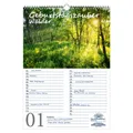 Produktbild: Geburtstagsplaner Geburtstagskalender Waldzauber DIN A3 Kalender Wald - Seelenza