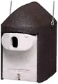 Produktbild: Schwegler 002181 Nisthöhle mit ovalen Einflugsloch 1St.