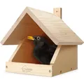 Produktbild: WILDLIFE HOME Amsel Nistkasten, Halboffen aus verschraubtem Massiv-Holz I Halbhöhle Wetterfest & Unbehandelt I Amselhaus Vogelhaus zum Aufhängen für Halbhöhlenbrüter, Rotkehlchen & Co.