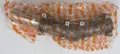 Produktbild: Stihl Ersatzteil Winkelgetriebe 4182-640-0200