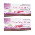 Produktbild: (294,57 EUR/kg) 2 x Olimp Chela-Mag B6® Forte Mega Caps - 2 x 60 Kapseln D/S