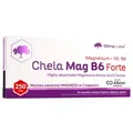 Produktbild: Olimp Chela-Mag B6 Forte, 60 Kapseln