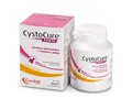 Produktbild: Candioli CYSTOCURE Forte 30 Tabletten (NDR)