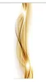 Produktbild: Schiebevorhang Deko blickdicht ALENIA, Farbe gold, Größe BxH 60x245 cm WFI