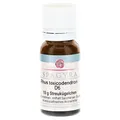 Produktbild: RHUS TOXICODENDRON D 6 Globuli 10 g