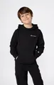 Produktbild: Champion Kapuzensweatshirt SPORTWEAR HOODIE Standard Fit (1-tlg) für Kinder