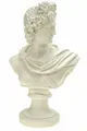 Produktbild: Alabaster Büste des Apollon Figur Skulptur 22 cm weiß Sonnengott Apollo