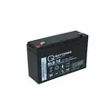 Produktbild: Q-Batteries 6LS-12 | 6V 12Ah Blei-Vlies Akku / AGM VRLA mit VdS