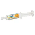 Produktbild: Ceva Diarsanyl 60 ml Hunden | Katzen | Kleintiere | Diarrhoe | Darm