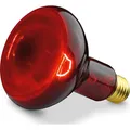 Produktbild: Beurer - Zubehör/Ersatzteile für Kleingeräte Zubehör f.Infrarotlampe SIL06/IL11