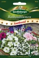 Produktbild: Quedlinburger Balkonblumen Stehende Mischung Saatband -  Premium Blumensamen
