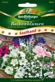 Produktbild: Balkonblumen 