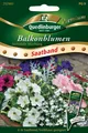 Produktbild: Balkonblumen stehende Mischung Saatband Samen von Quedlinburger Saatgut