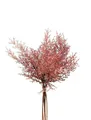 Produktbild: artplants.de Deko Asparagus sprengeri Bund RUBIOLTA, violett-rosa, 35cm - Kunststrauß