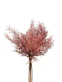 Produktbild: Kunstblumenstrauß Deko Asparagus sprengeri Bund RUBIOLTA, violett-rosa, 35cm Spargelpflanze (Sprengers Zierspargel), artplants, Höhe 35.0 cm