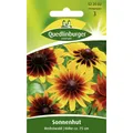 Produktbild: Sonnenhut, Herbstwald