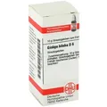 Produktbild: Ginkgo Biloba D6 Globuli