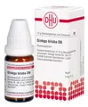 Produktbild: DHU Ginkgo biloba D6 Streukügelchen, 10 g Globuli