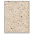 Produktbild: Terralith Pflasterfugenmörtel Farbmuster -natur/beige-