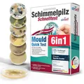 Produktbild: Schimmeltest für zu Hause - Schimmelpilz Test für bis zu 6 Räume - Schimmelpilz Schnelltest zur Einschätzung der Luftqualität hinsichtlich einer Schimmelpilzbelastung in Innenräumen