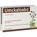 Produktbild: UMCKALOABO 20 mg Filmtabletten 60 St. PZN 00148843