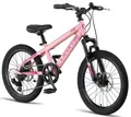 Produktbild: Licorne Bike Mountainbike Thunder