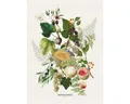 Produktbild: Garnier Thiebaut Geschirrtuch Geschirrtuch Abondance d´automne Naturel 50x70 cm, (1-tlg., 1 x Geschirrtuch), bedruckt