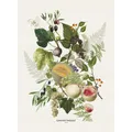 Produktbild: Garnier-Thiebaut Geschirrtuch Früchte - Erntedank - Abondance d´automne 50x70 cm