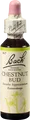 Produktbild: BACHBLÜTEN Chestnut Bud Tropfen 20 ml