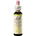 Produktbild: Bachblüten Chestnut Bud Tropfen 20 ml