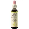 Produktbild: BACHBLÜTEN Chestnut Bud Tropfen 20 ml