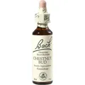 Produktbild: BACHBLÜTEN Chestnut Bud Tropfen 20 ml