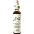 Produktbild: BACHBLÜTEN Chestnut Bud Tropfen, 20 ml PZN 00047734