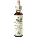 Produktbild: BACHBLÜTEN Chestnut Bud Tropfen 20 ml PZN 47734