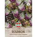 Produktbild: Sperli Rosenkohl Flower Sprouts® Autumn Star - Gemüsesamen