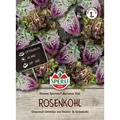 Produktbild: Sperli  Rosenkohl Flower Sprouts® Autumn Star - Gemüsesamen