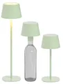 Produktbild: Northpoint 3in1 LED Tischlampe Flaschenleuchte max. 45cm hoch mit 3000mAh Akku 200lm warmweißes Licht (3000K) stufenlos dimmbar für Innen und Außen (hellgrün)
