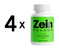 Produktbild: 4 x Zein Pharma Milk Thistle + Choline, Liver Complex - 100 (224,88 EUR/kg)