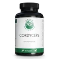 Produktbild: 2x GREEN NATURALS Cordyceps sinensis Kapseln 180 ST