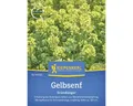Produktbild: Gründünger Kiepenkerl Gelbsenf / Weißsamiger Senf 0,4 kg für 100 m² Samenfestes 